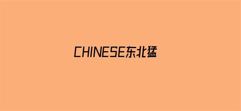 >CHINESE东北猛1猛打桩横幅海报图